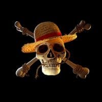 TikTok Account - onepiecenetflix