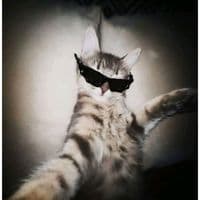 TikTok Account - npmn90