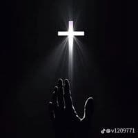 TikTok Account - sarrive.b