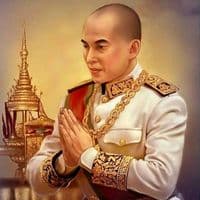 TikTok Account - khienno