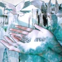 TikTok Account - thirstydude