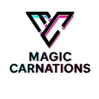 TikTok Account - magiccarnation1