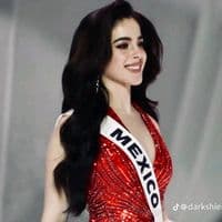 TikTok Account - princess.hina39