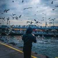 TikTok Account - jedoaldom8d