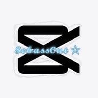 TikTok Account - sebasxcapcut