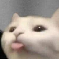 TikTok Creator - leviethoang783