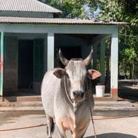 TikTok Account - fighters.bull