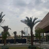 TikTok Account - queen_rnm.1