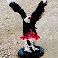 TikTok Account - mahirbey79