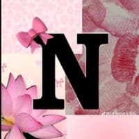 TikTok Account - nuzinha693