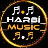 TikTok Account - _harbimusic_
