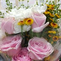 TikTok Account - hasanahhere