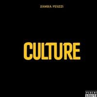 TikTok Account - linternational137