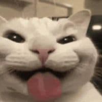 TikTok Account - divinepunishments