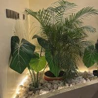 TikTok Account - kw.lyrics8