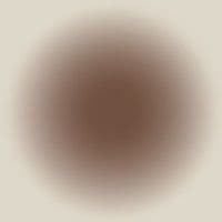 TikTok Account - bellinghaudiosedit