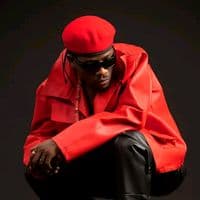 TikTok Account - lets.pay.music