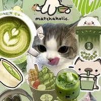 TikTok Account - natnatt_b31