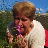 TikTok Account - wecna64