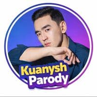 TikTok Account - kuanyshparody