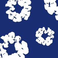 TikTok Account - 00_fendi