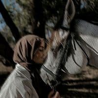 TikTok Account - arsam_writes06