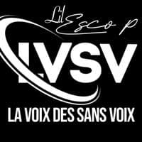 TikTok Account - escoplvsv2