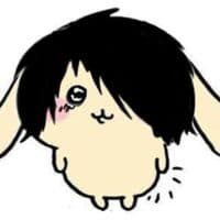 TikTok Account - sonj_xam