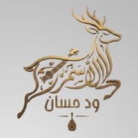 TikTok Account - alghazalalasmar0