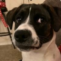 TikTok Account - ezy_vibes_675