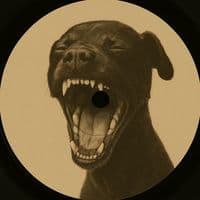 TikTok Account - pbbg_mc