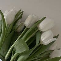 TikTok Account - useeerr.00o