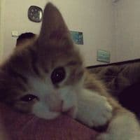 TikTok Account - xwzyy_girl