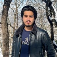 TikTok Account - hammadabbaxi0