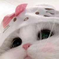 TikTok Account - pwettyeya