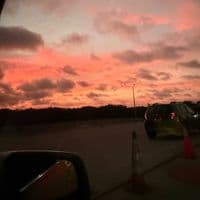 TikTok Account - yorcelistobinsonl