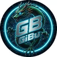 TikTok Account - dgb28042