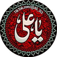 TikTok Account - maqsoodi_313