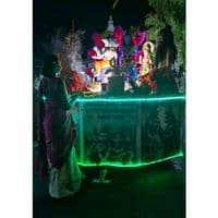 TikTok Account - queen.mishtee