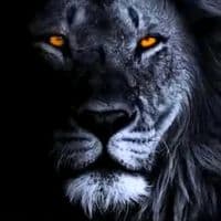 TikTok Account - alover326