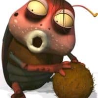 TikTok Account - desakkhristina