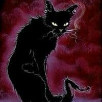 TikTok Account - roo.zzzz