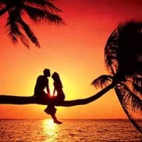 TikTok Account - saadmusic136