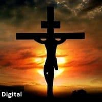 TikTok Account - sami1abaya