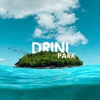TikTok Account - drinipark
