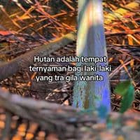 TikTok Account - carlisuputrah