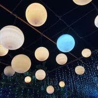 TikTok Account - serenashares