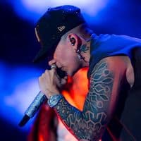 TikTok Account - fans_andyrivera