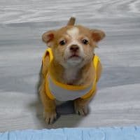 TikTok Account - kwiiinnnnn