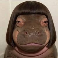 TikTok Account - vit.2408